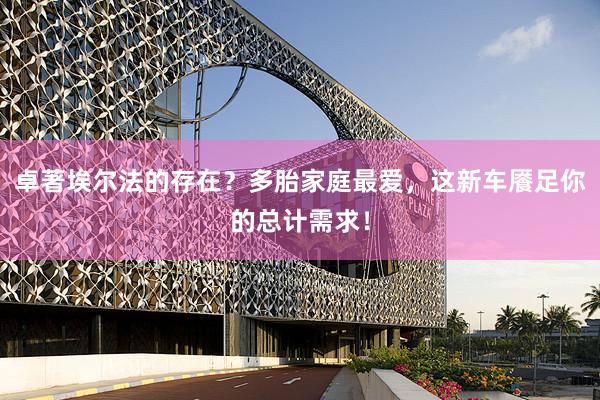 卓著埃尔法的存在？多胎家庭最爱，这新车餍足你的总计需求！