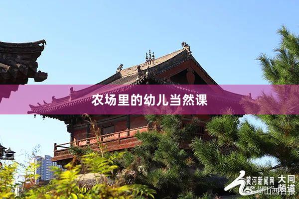 农场里的幼儿当然课