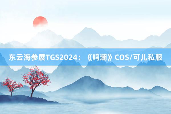 东云海参展TGS2024：《鸣潮》COS/可儿私服