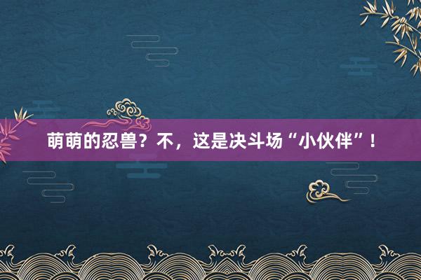 萌萌的忍兽？不，这是决斗场“小伙伴”！