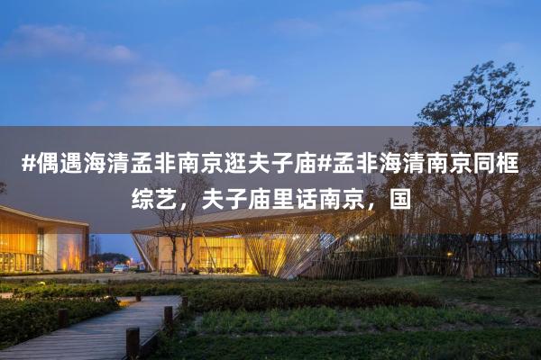 #偶遇海清孟非南京逛夫子庙#孟非海清南京同框综艺，夫子庙里话南京，国