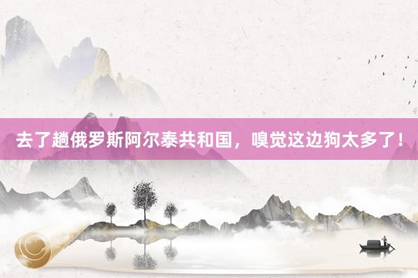 去了趟俄罗斯阿尔泰共和国，嗅觉这边狗太多了！