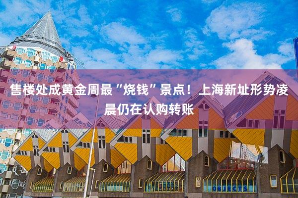 售楼处成黄金周最“烧钱”景点！上海新址形势凌晨仍在认购转账
