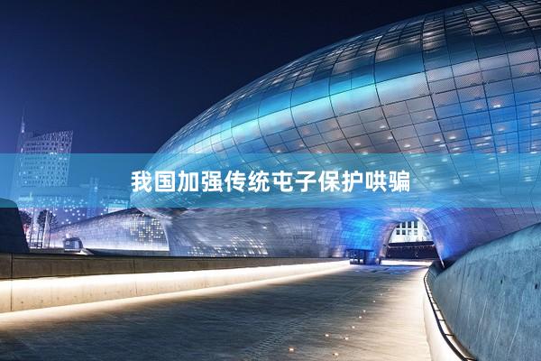我国加强传统屯子保护哄骗