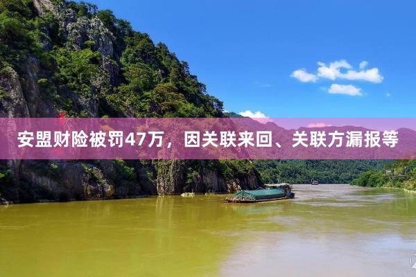 安盟财险被罚47万，因关联来回、关联方漏报等