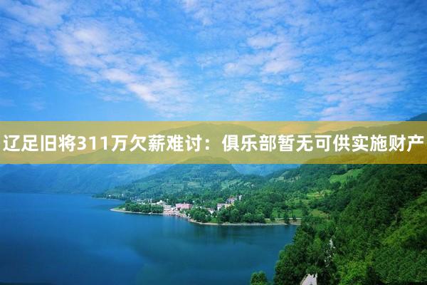 辽足旧将311万欠薪难讨：俱乐部暂无可供实施财产