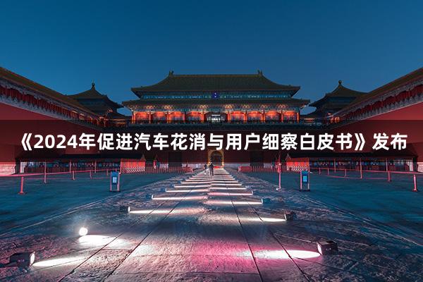 《2024年促进汽车花消与用户细察白皮书》发布
