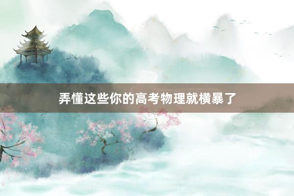 弄懂这些你的高考物理就横暴了