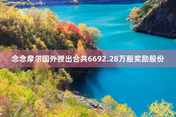 念念摩尔国外授出合共6692.28万股奖励股份