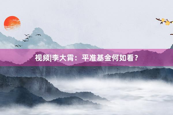 视频|李大霄：平准基金何如看？