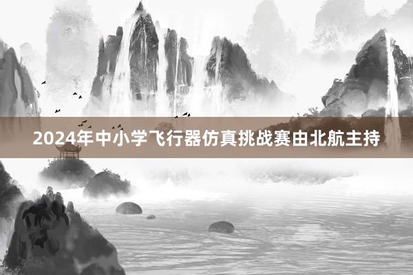 2024年中小学飞行器仿真挑战赛由北航主持