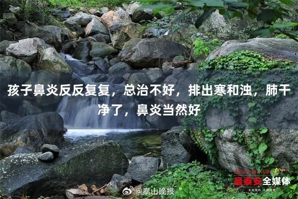 孩子鼻炎反反复复，总治不好，排出寒和浊，肺干净了，鼻炎当然好