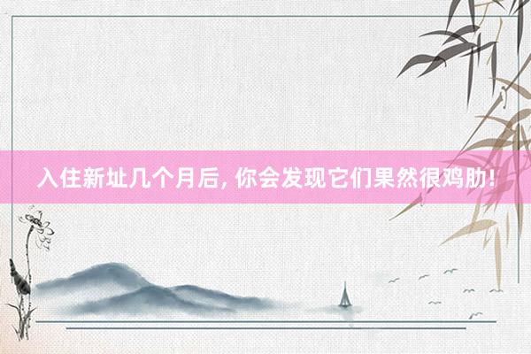 入住新址几个月后, 你会发现它们果然很鸡肋!