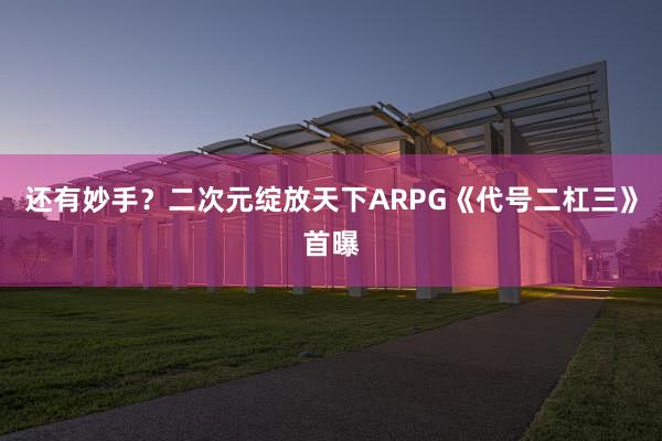 还有妙手？二次元绽放天下ARPG《代号二杠三》首曝