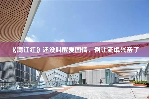 《满江红》还没叫醒爱国情，倒让流氓兴奋了