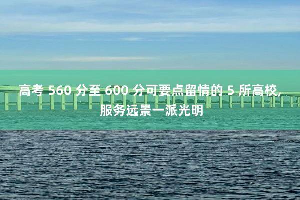 高考 560 分至 600 分可要点留情的 5 所高校, 服务远景一派光明