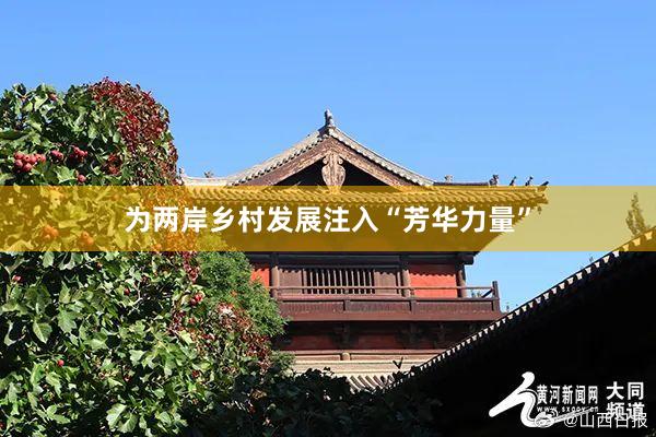 为两岸乡村发展注入“芳华力量”