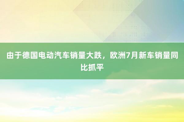 由于德国电动汽车销量大跌，欧洲7月新车销量同比抓平