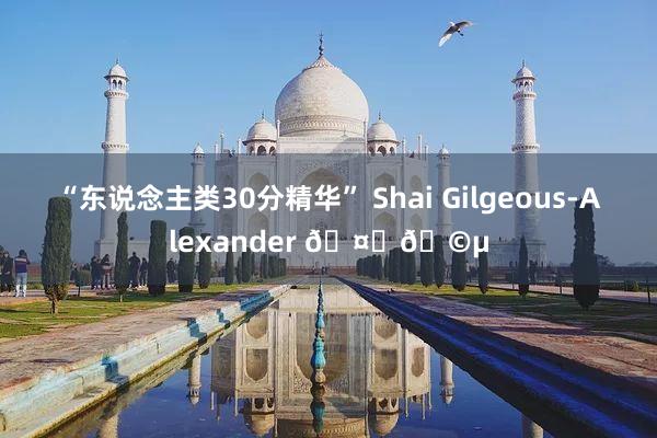 “东说念主类30分精华” Shai Gilgeous-Alexander 🤍🩵