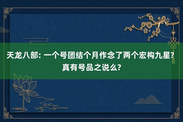 天龙八部: 一个号团结个月作念了两个宏构九星? 真有号品之说么?